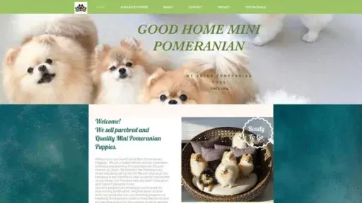 Screenshot of