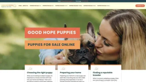 Screenshot of||