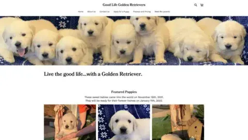 Screenshot of