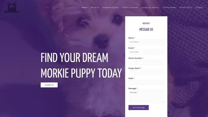 Screenshot of