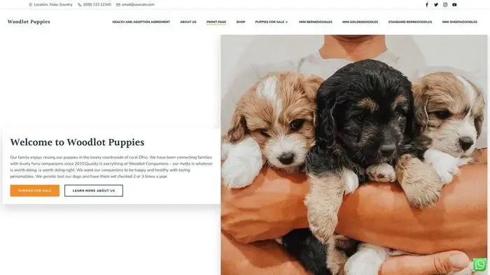 Screenshot of