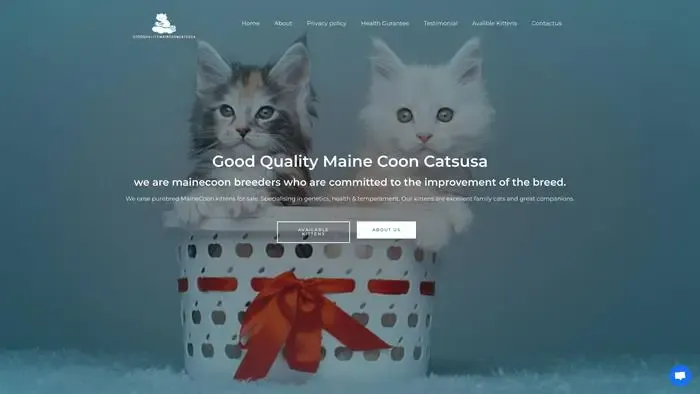 Screenshot of