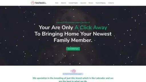 Screenshot of