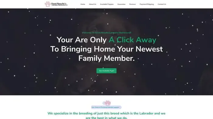 Screenshot of