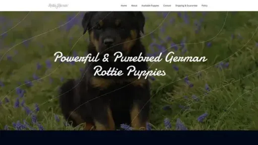 Screenshot of