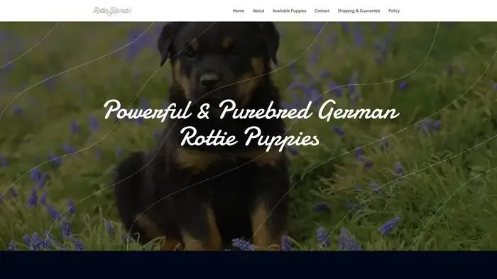 Screenshot of