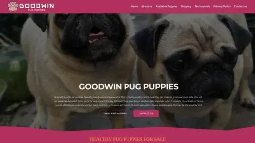 Screenshot of