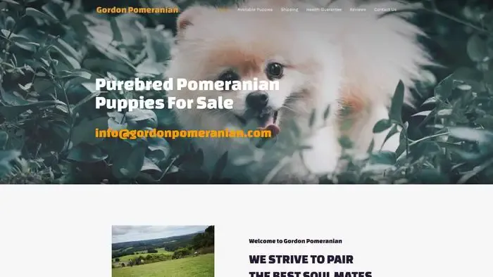 Screenshot of