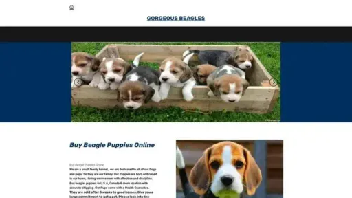 Screenshot of