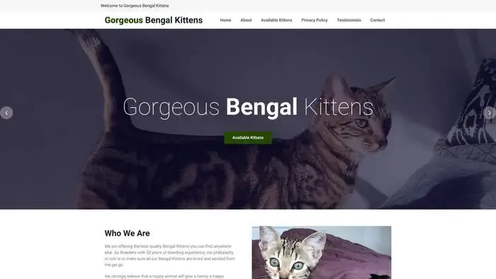 Screenshot of