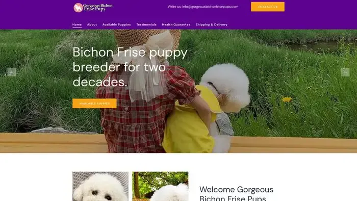 Screenshot of