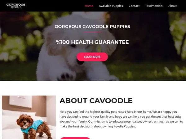 Screenshot of