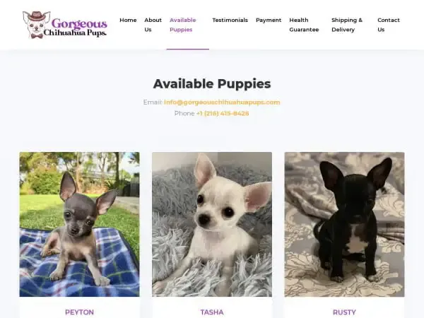 Screenshot of