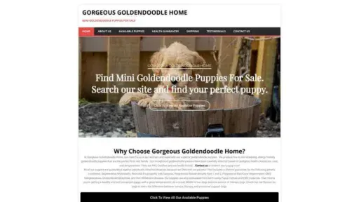 Screenshot of