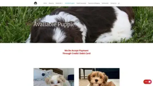 Screenshot of