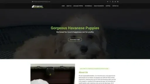 Screenshot of