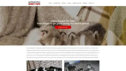 Screenshot of