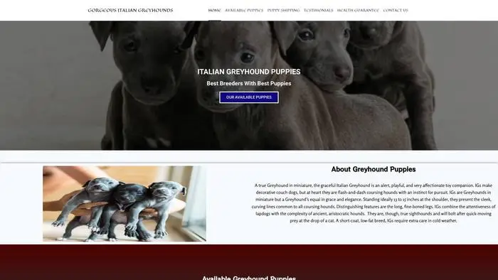 Screenshot of