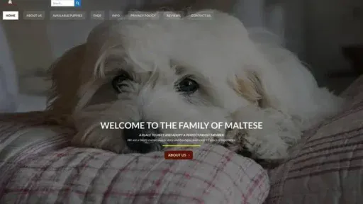 Screenshot of|