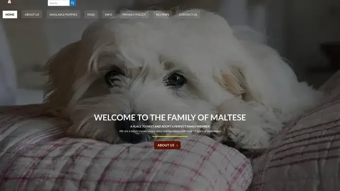 Screenshot of|