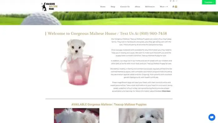 Screenshot of|Screenshot of
