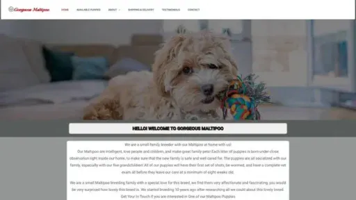 Screenshot of