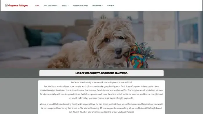 Screenshot of