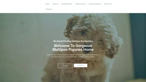 Screenshot of