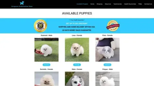Screenshot of