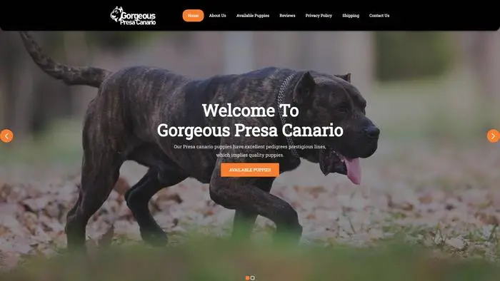 Screenshot of