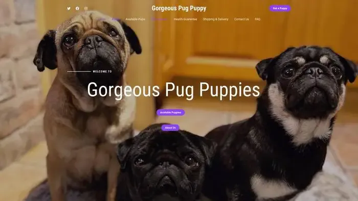 Screenshot of
