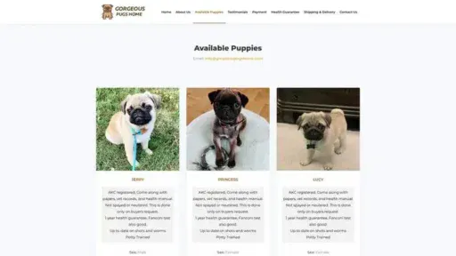 Screenshot of