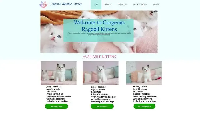 Screenshot of