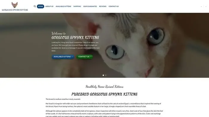 Screenshot of