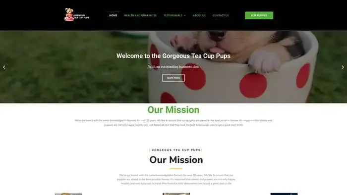 Screenshot of