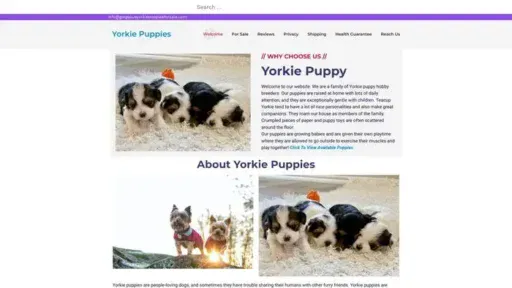 Screenshot of