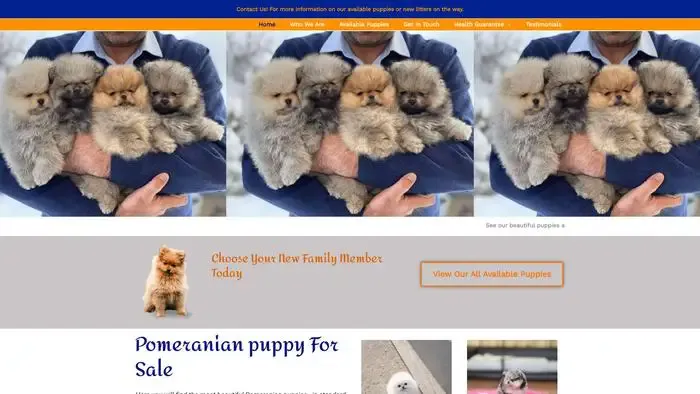 Screenshot of