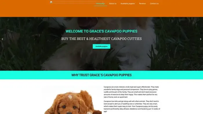 Screenshot of