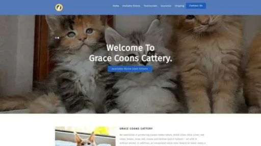Screenshot of||