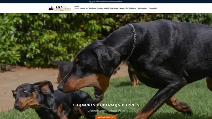 Screenshot of