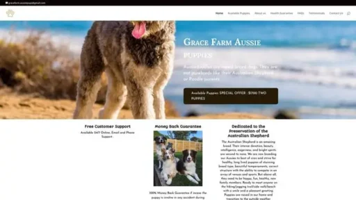 Screenshot of