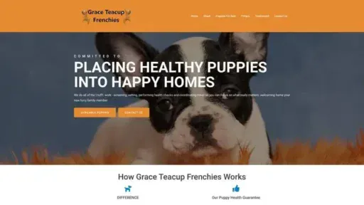 Screenshot of