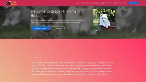 Screenshot of