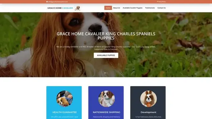 Screenshot of
