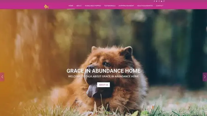 Screenshot of