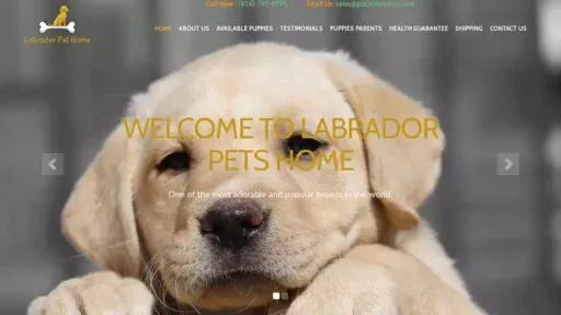 Screenshot of|