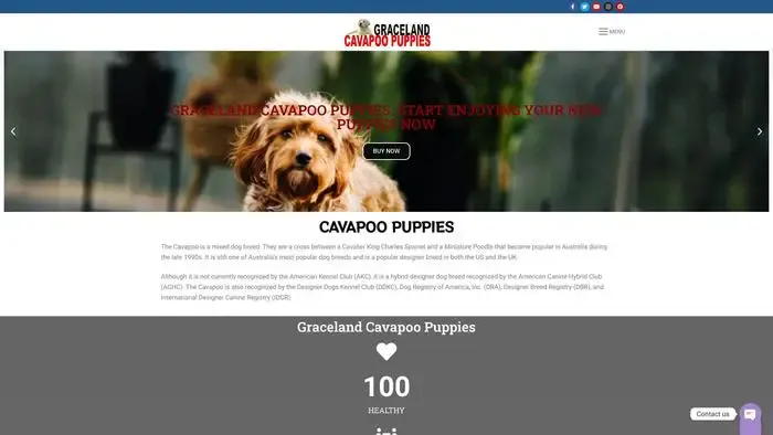 Screenshot of
