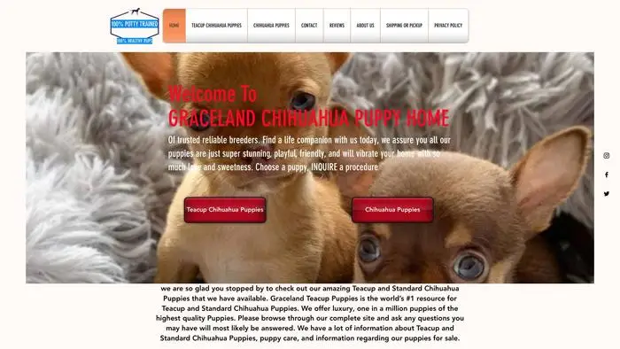 Screenshot of