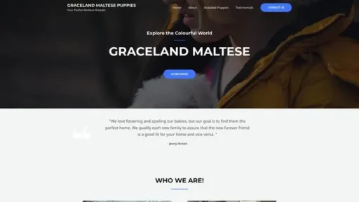 Screenshot of