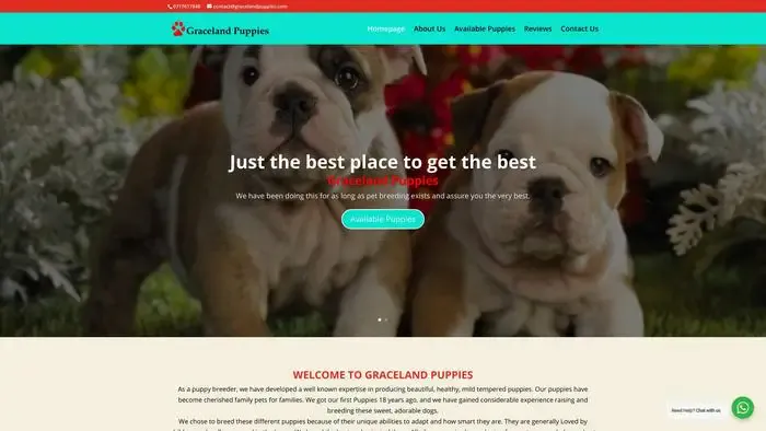 Screenshot of